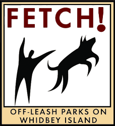 Large Fetch Logo