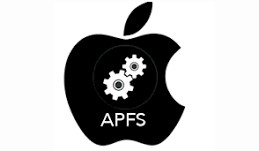 APFS Logo