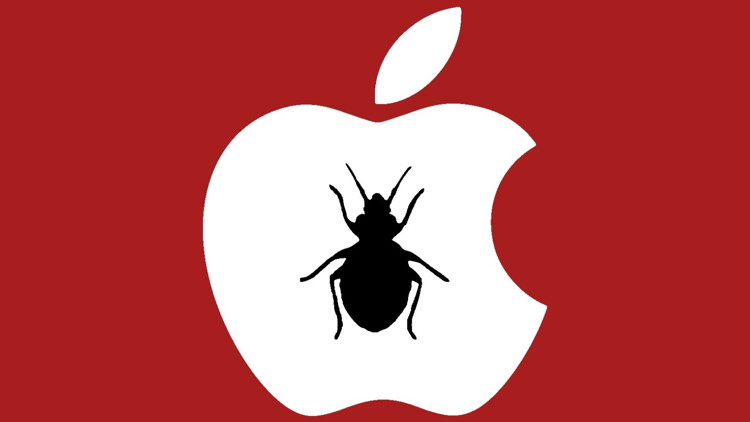 Apple Bug