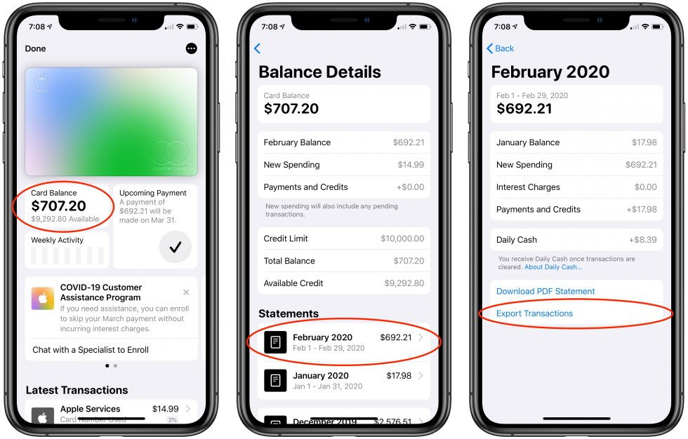 Apple Card Statements