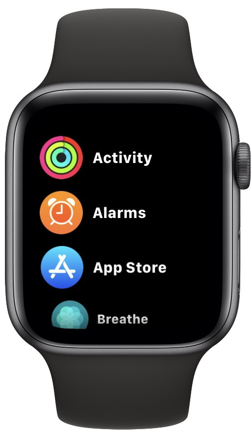 Apple Watch list view