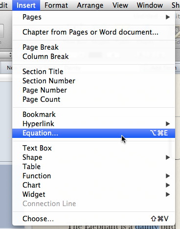 iBook Author