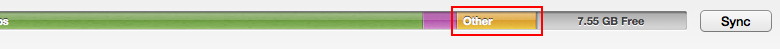 iPod Other Memory