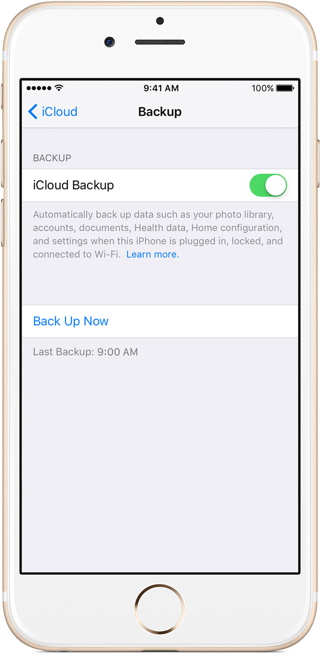 iPhone iCloud Backup