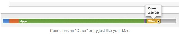 iTunes "Other"
