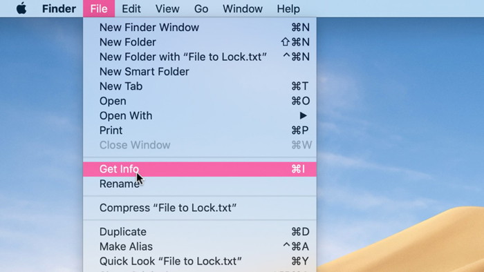 Lock Files