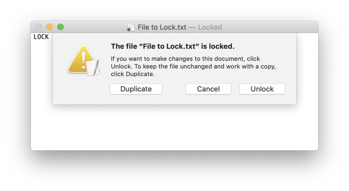 Lock Files