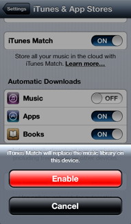 iTunes Setting in iOS 6