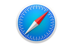 Safari Icon