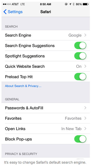 Search Engine in iPhone Safari