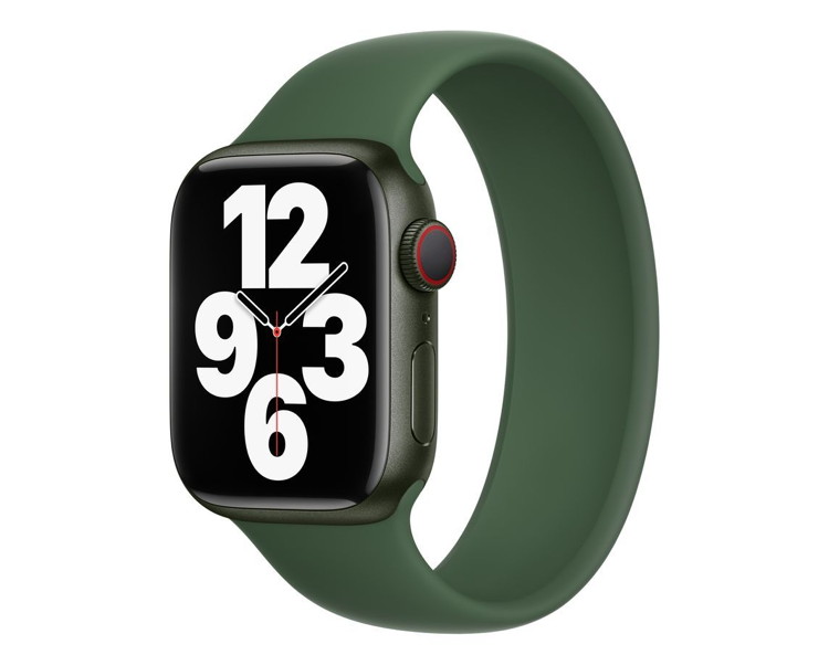 Apple Watch band