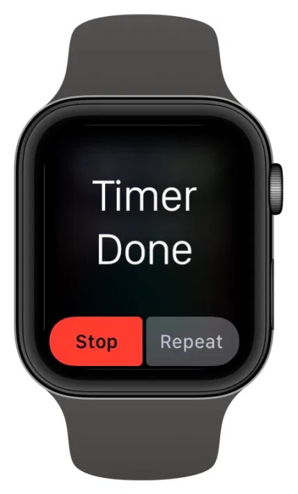 Apple Watch Timer