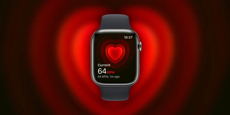 Heart