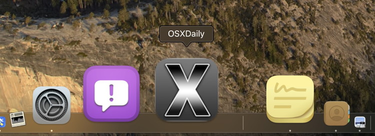 Web icon in dock