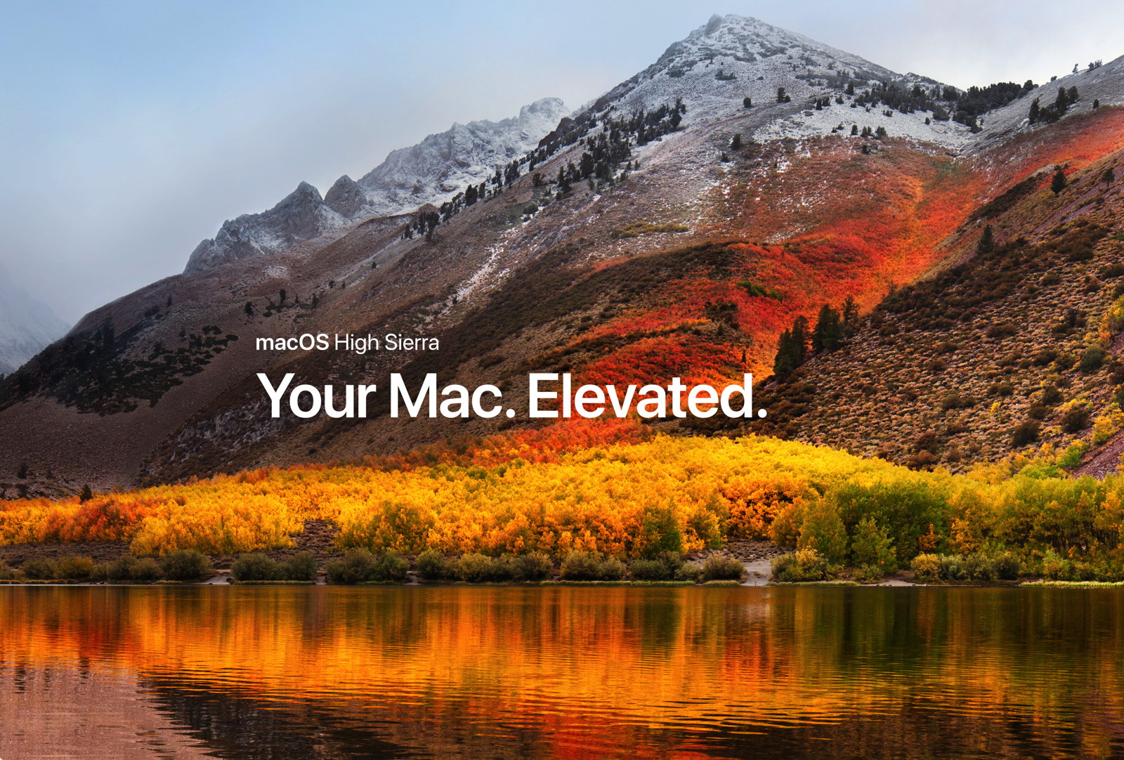 Your Mac Elevated