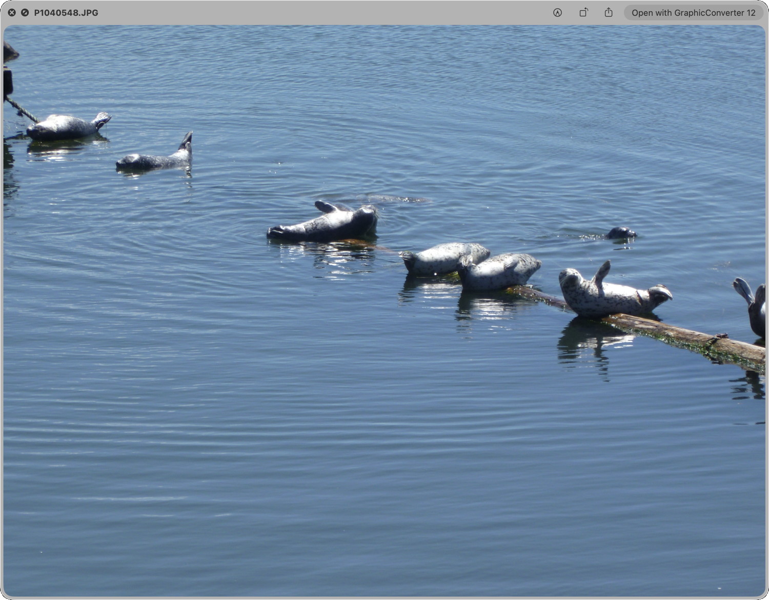 Image file with seals
