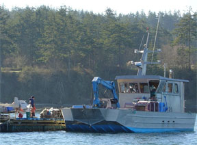 Mussel Boat on Penn Cove in Coupeville, Washington.
