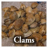 Our Products - Clams