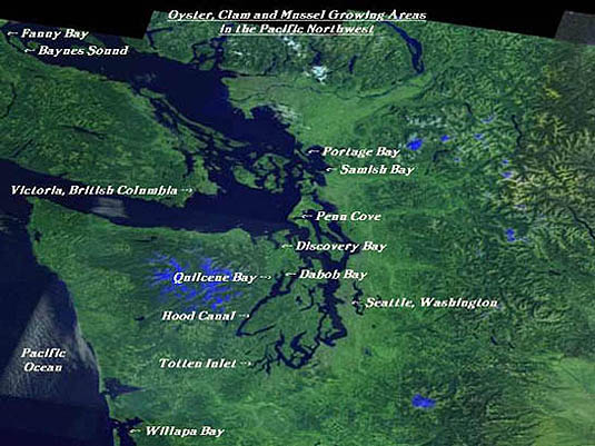 Northwest Shellfish Growing Areas