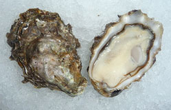 Fanny Bay Oysters